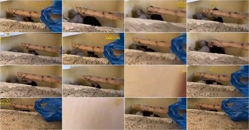 واخد جارته ف اوضة ع السطح زانقها ف الحيطة يفشخها نيك ميعرفوش ان جارهم مستخبى